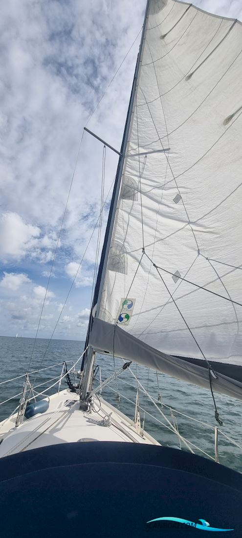 Delphia Sportina 760
