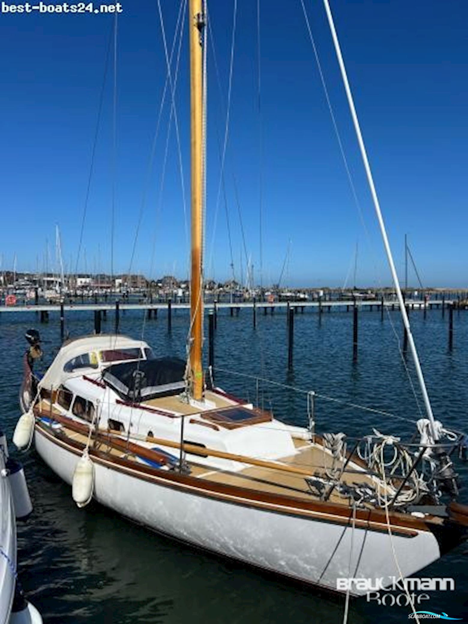 Delphin 66