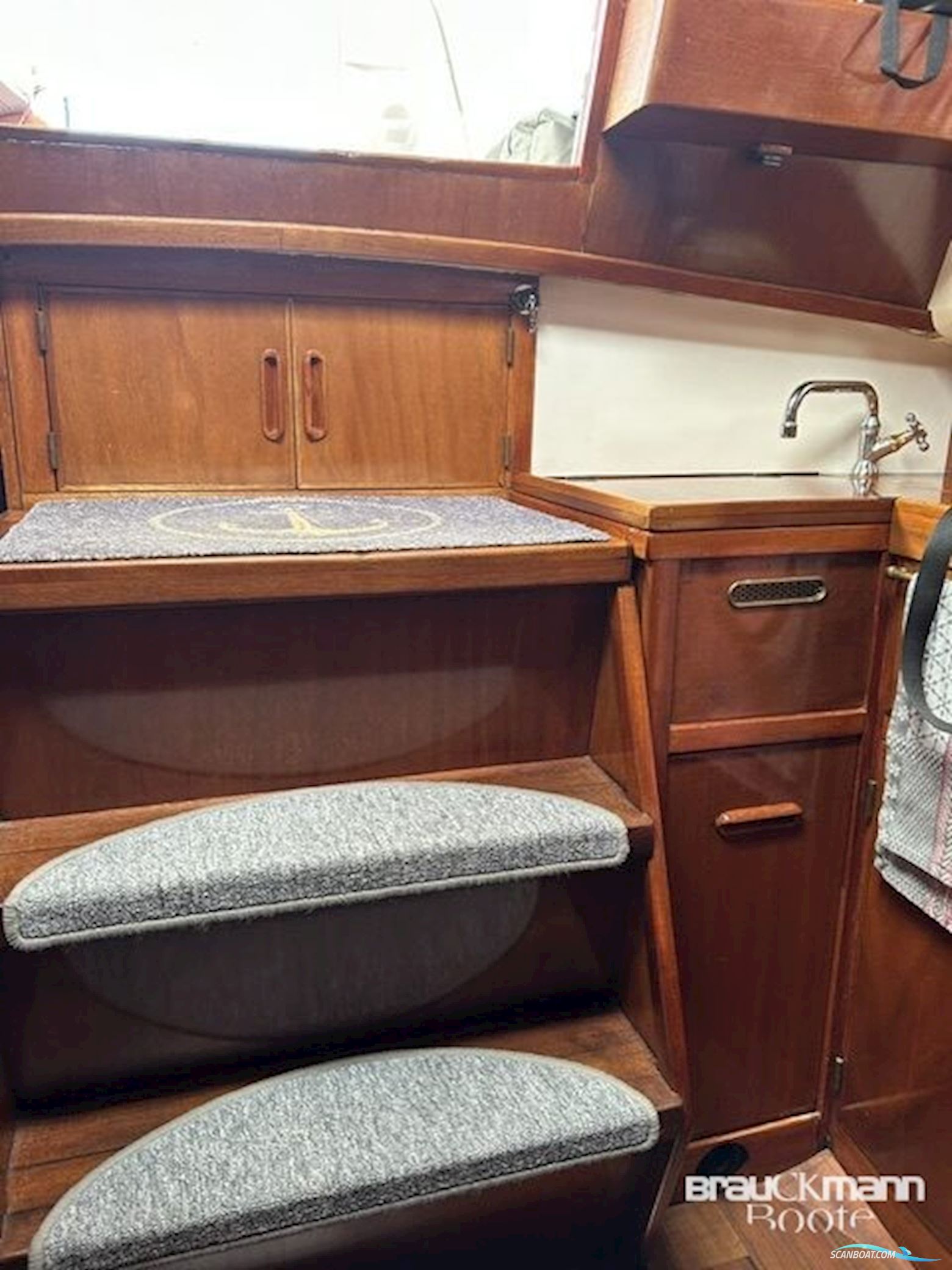 Delphin 66