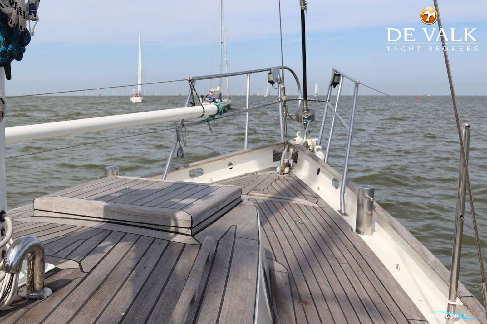 Dick Zaal Polar Bear