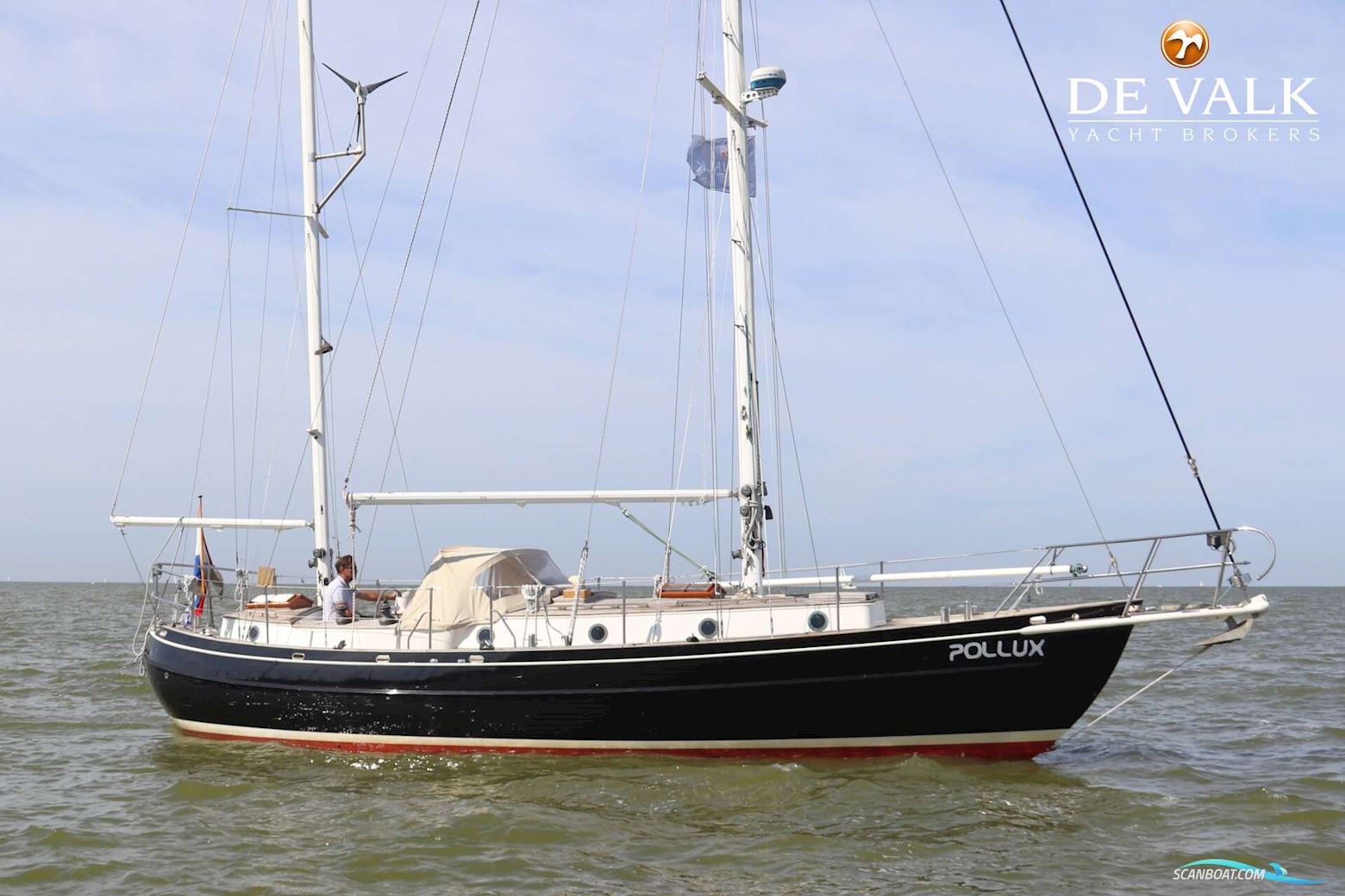 Dick Zaal Polar Bear