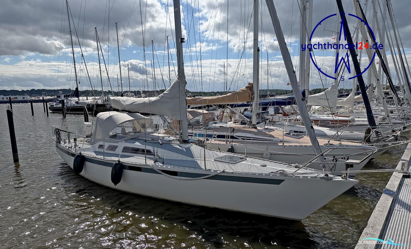 Diva 39