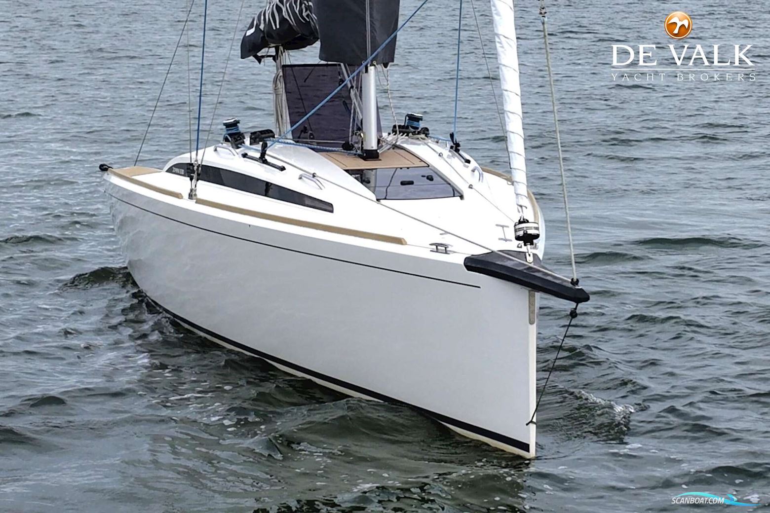 Domani S30 Sportyacht