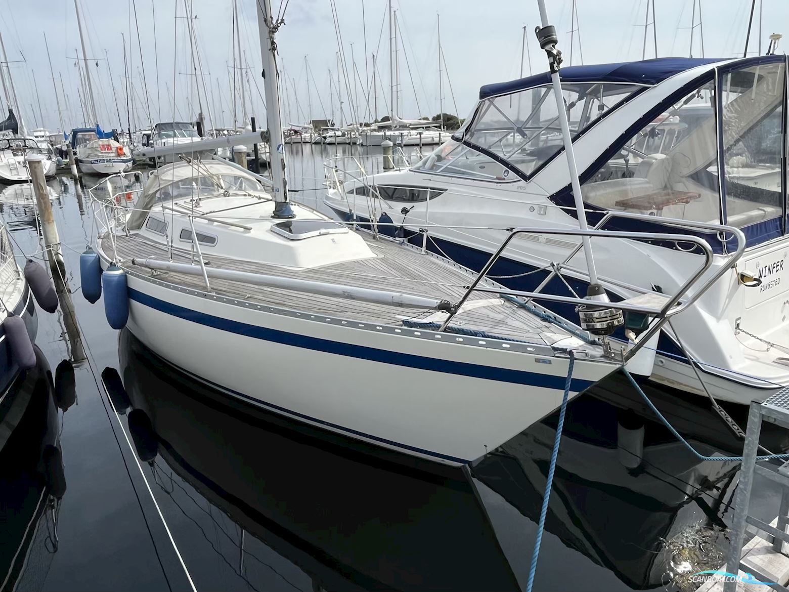 Drabant 30 (1980) - SOLGT Zeilboten 1980, met Yanmar motor, Denemarken