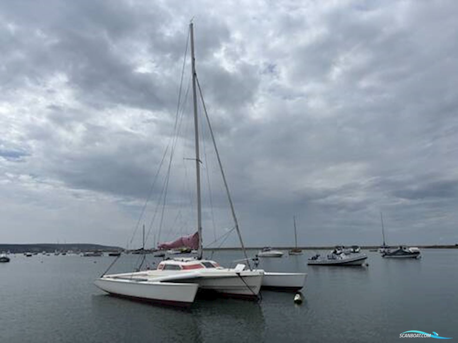Dragonfly 800