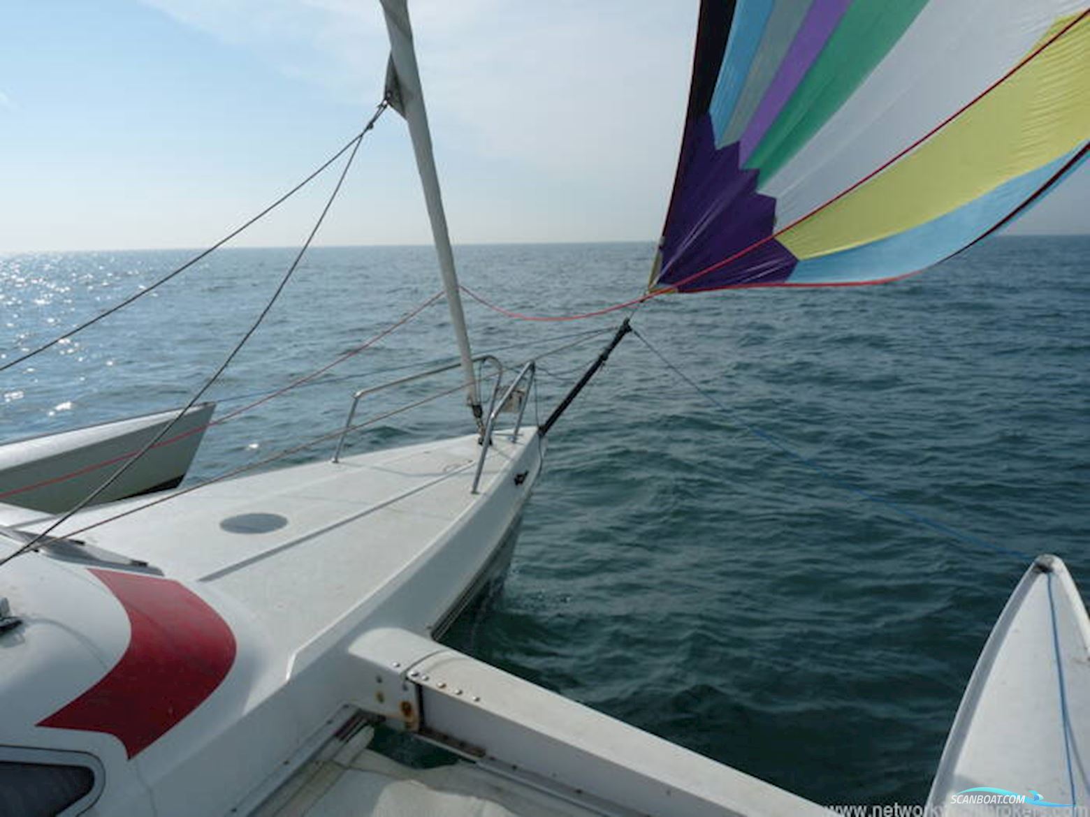 Dragonfly 800