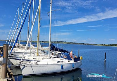 Dufourt 30 Classic Zeilboten 2000, met Volvo Penta 19 HK motor, Denemarken
