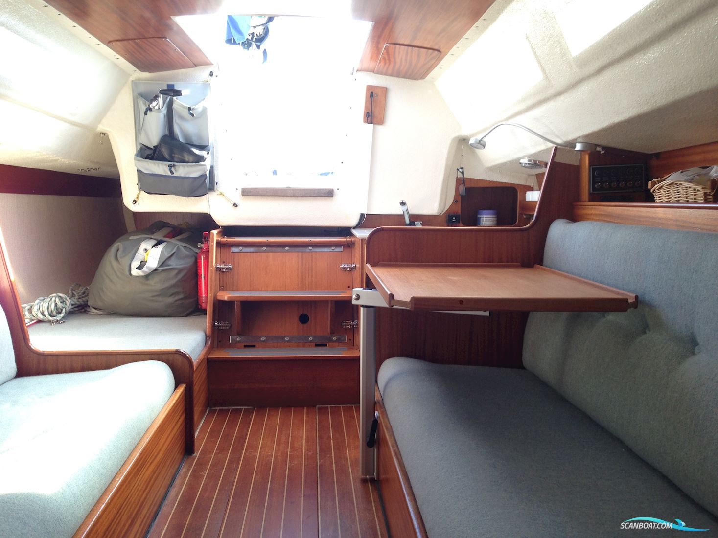 Dynamic 35