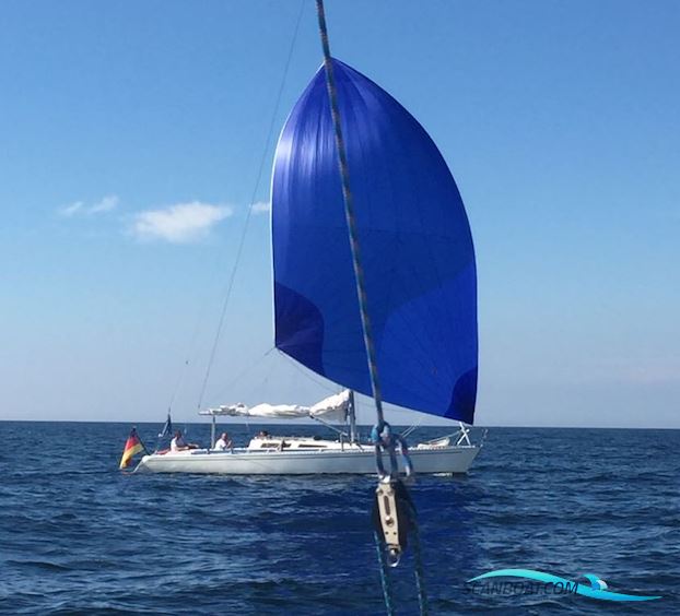 Dynamic 35