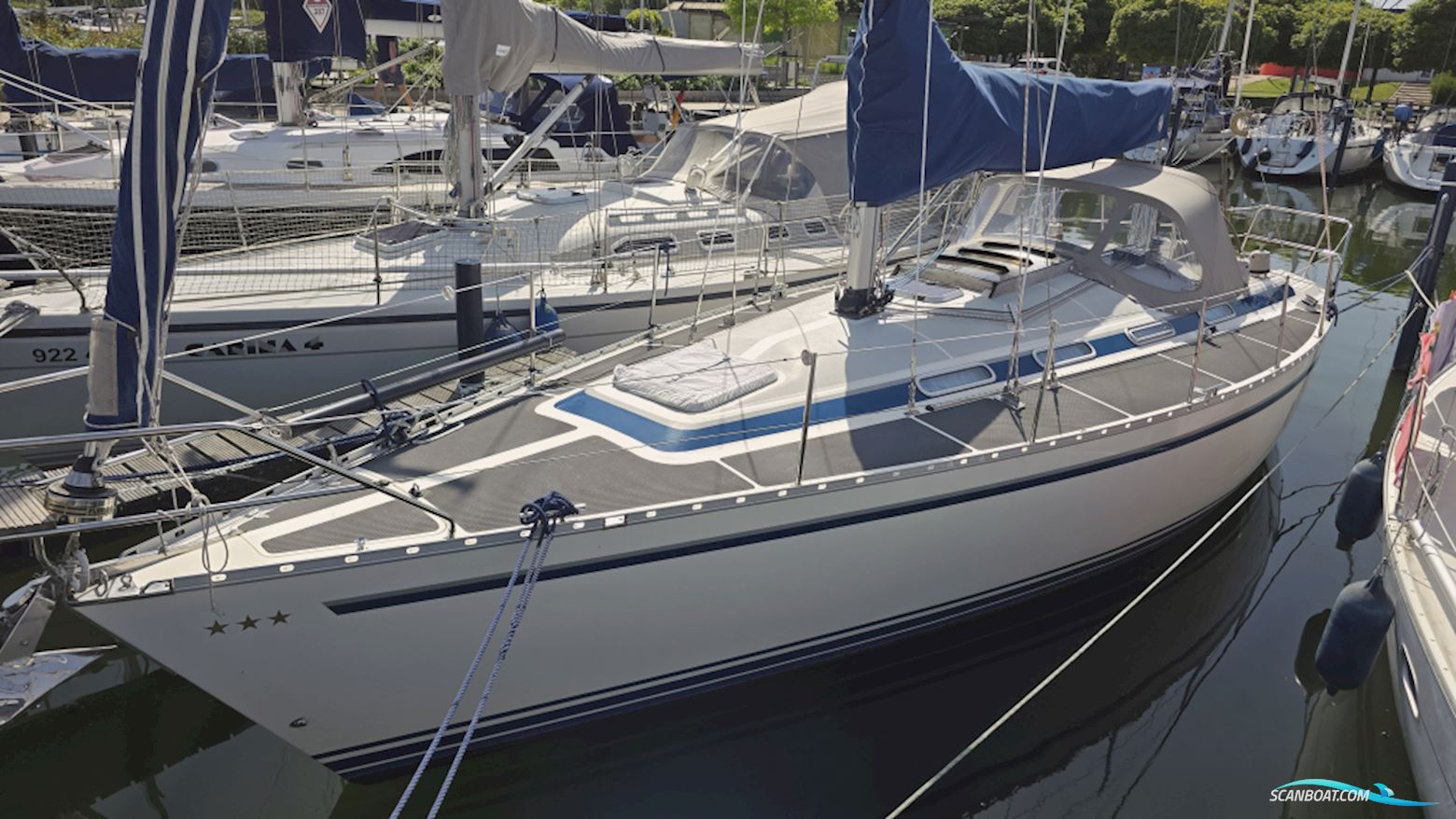Dynamic 37