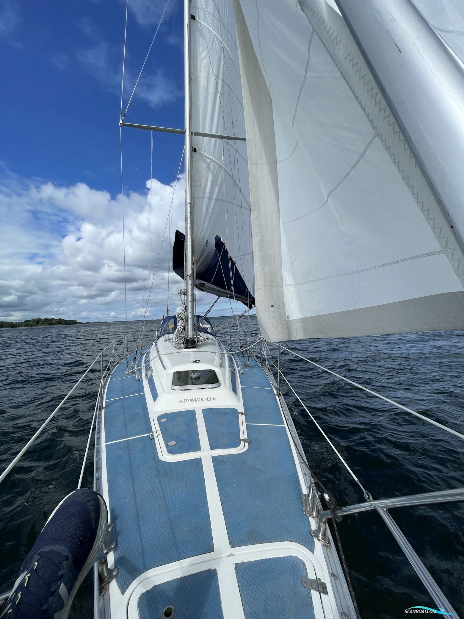 Dynamic 43