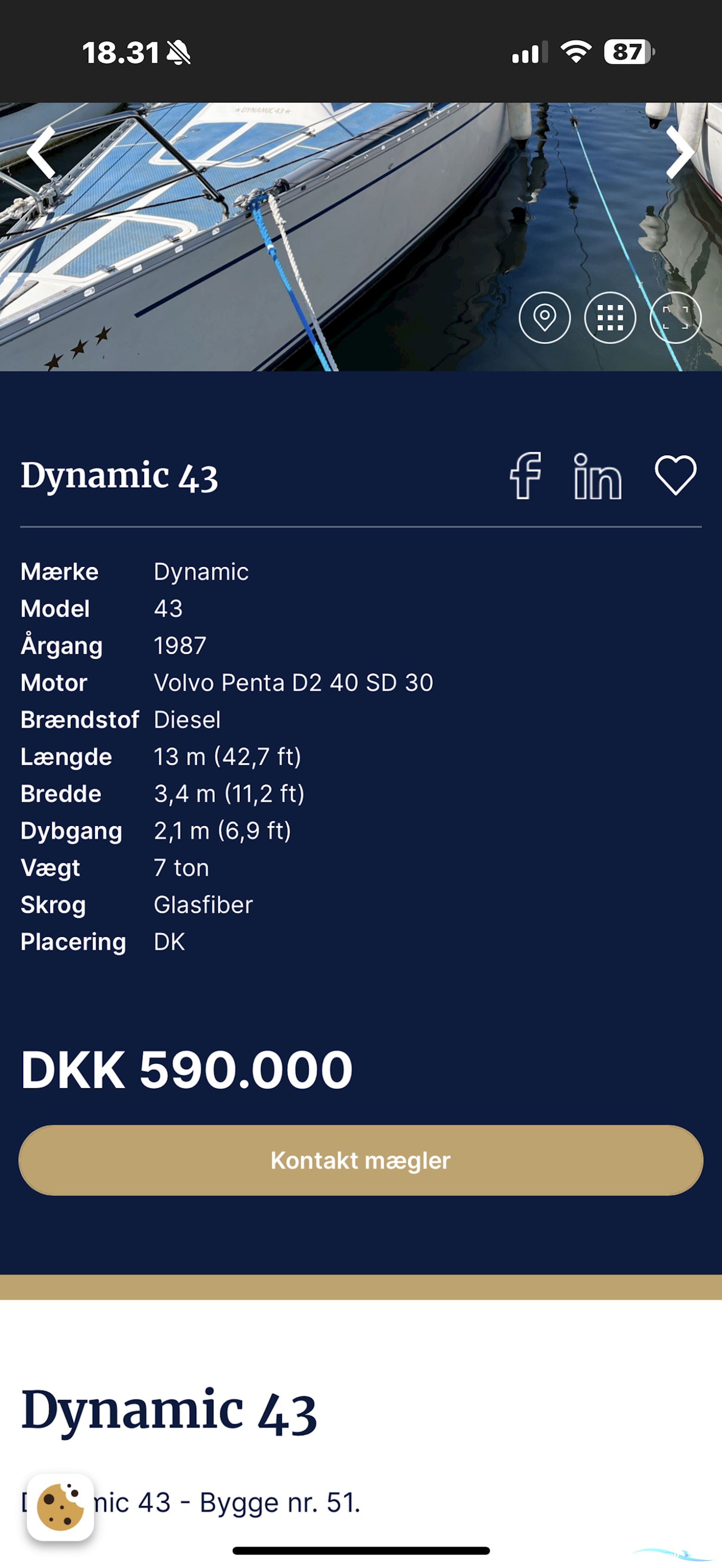 Dynamic 43