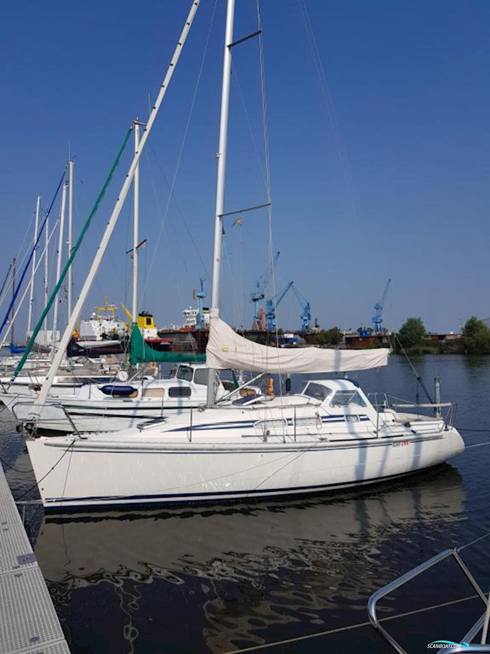 Elan 295 -VERKAUFT-