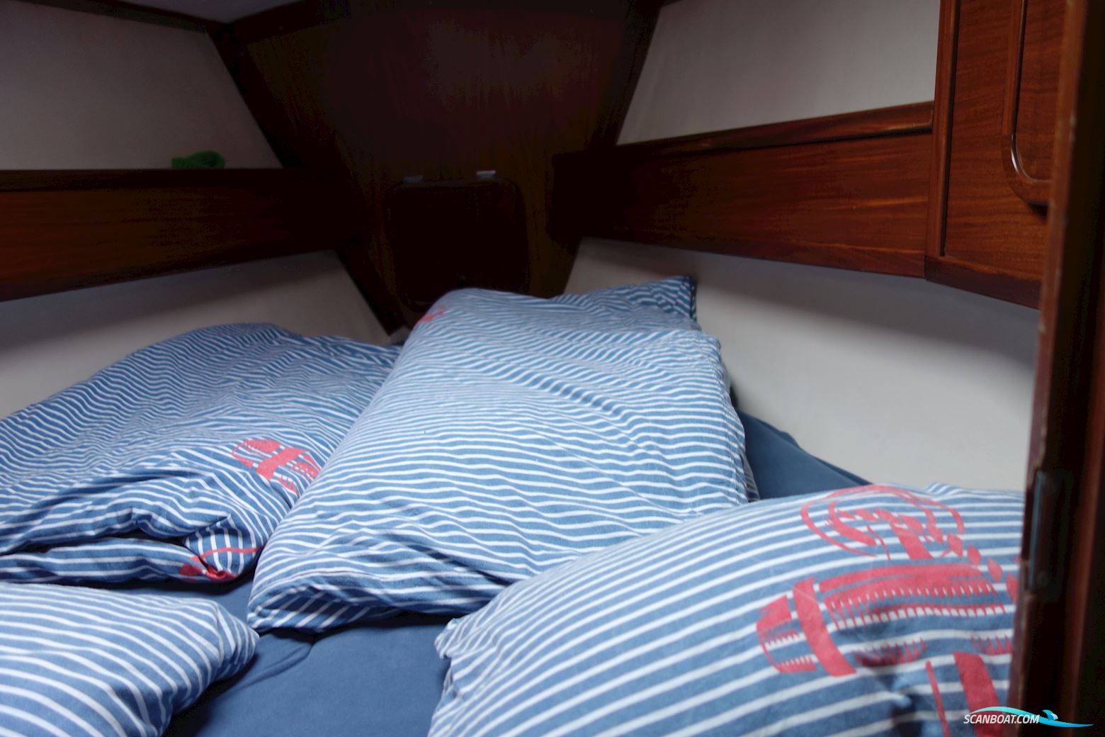 Elan 33