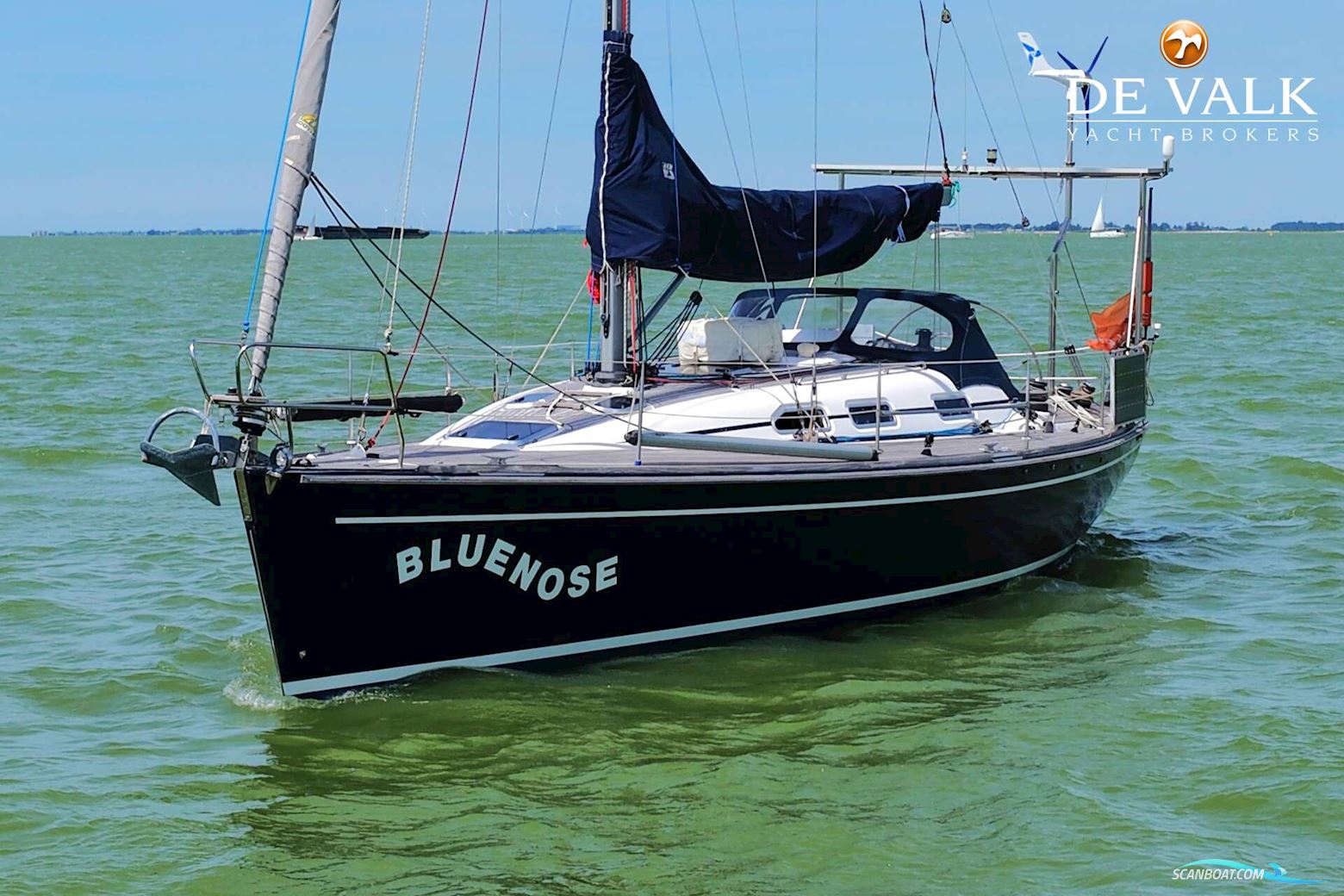 Elan 40