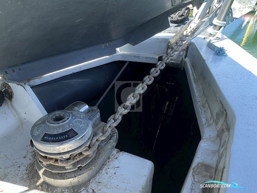 Felci 45