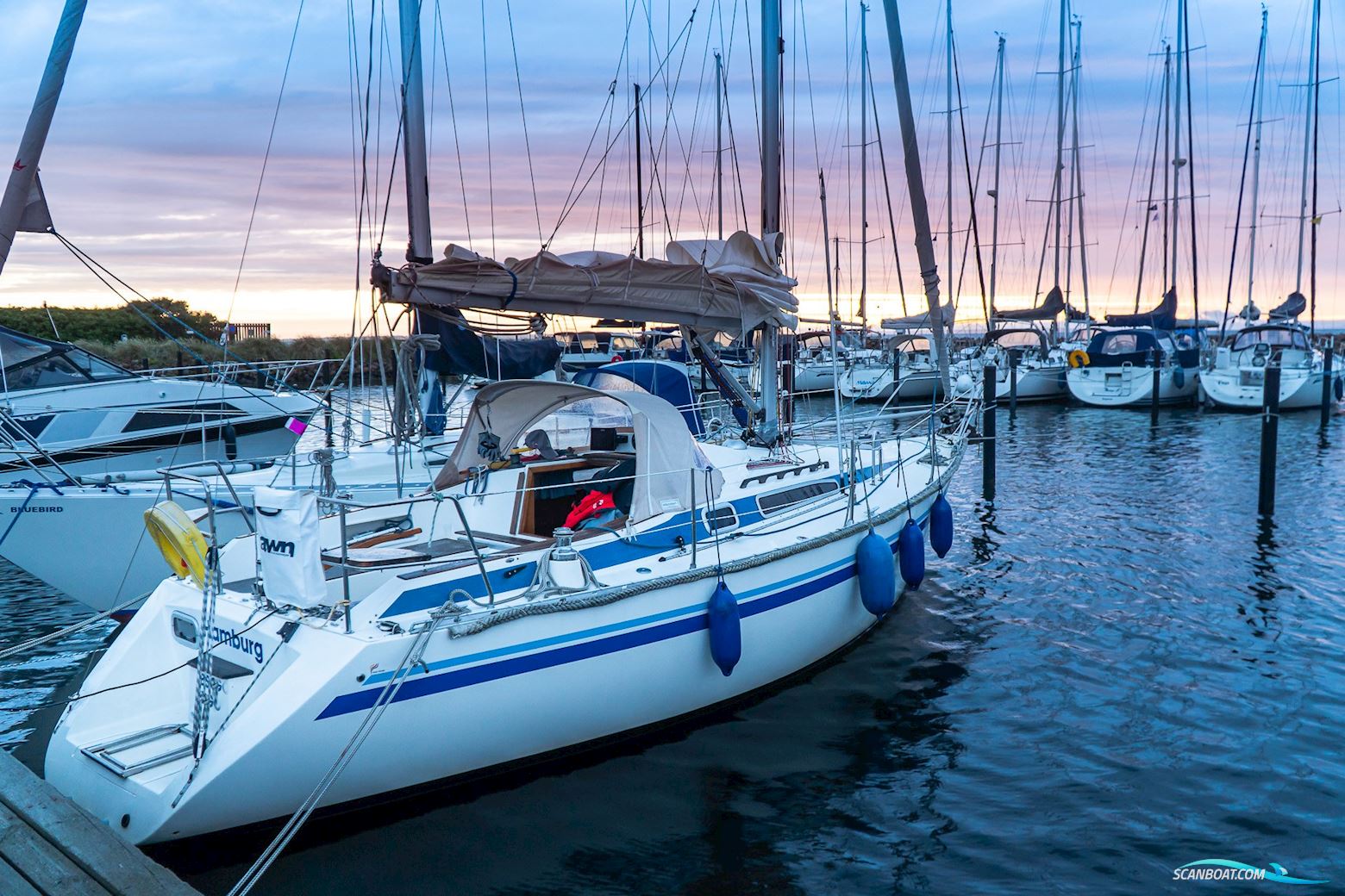 Finngulf 31