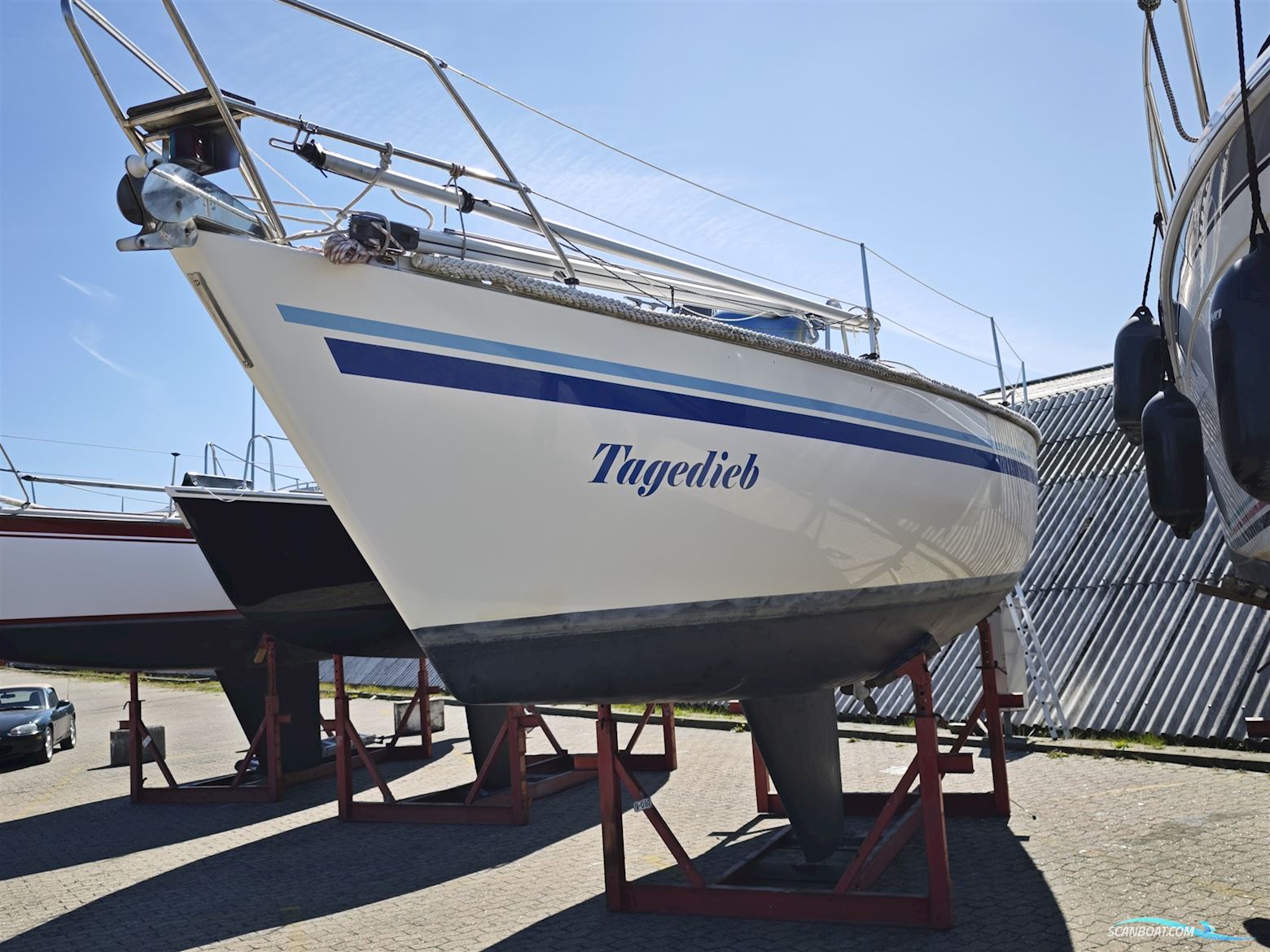 Finngulf 31