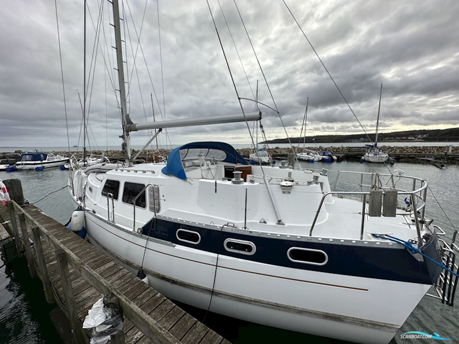 Finnrose 45 Deck saloon