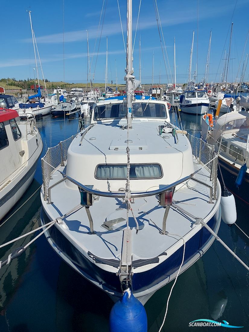 Finnsailer 35 Zeilboten 1975, met Leyland motor, Denemarken