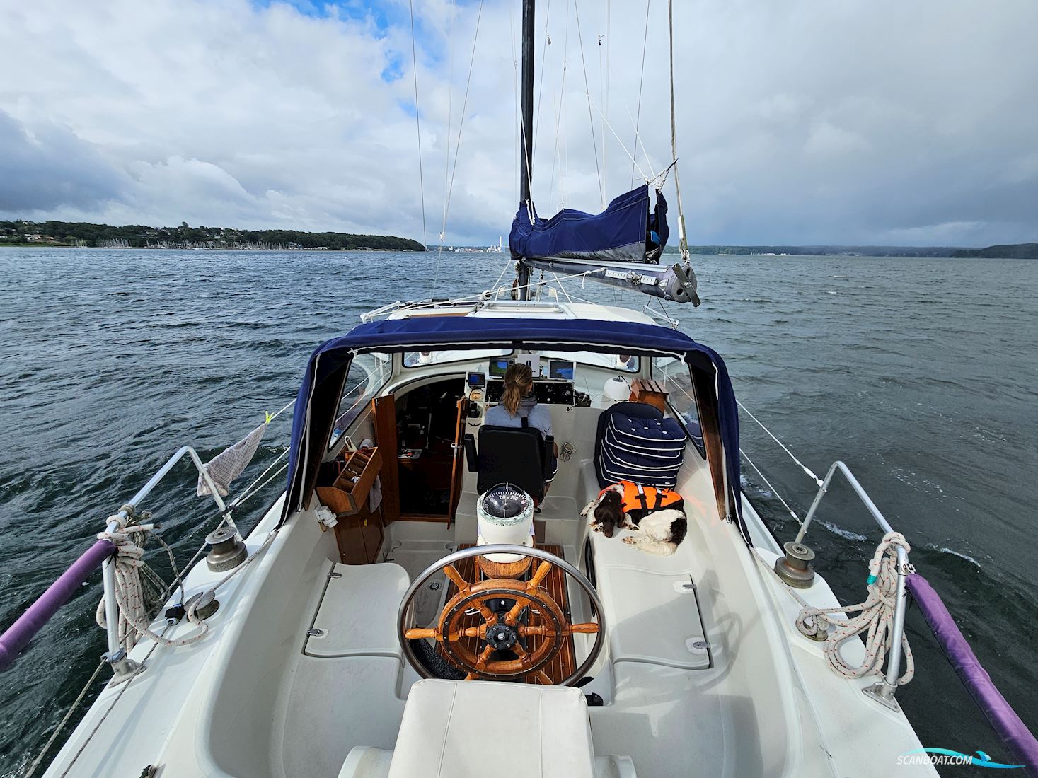 Finnsailer 38
