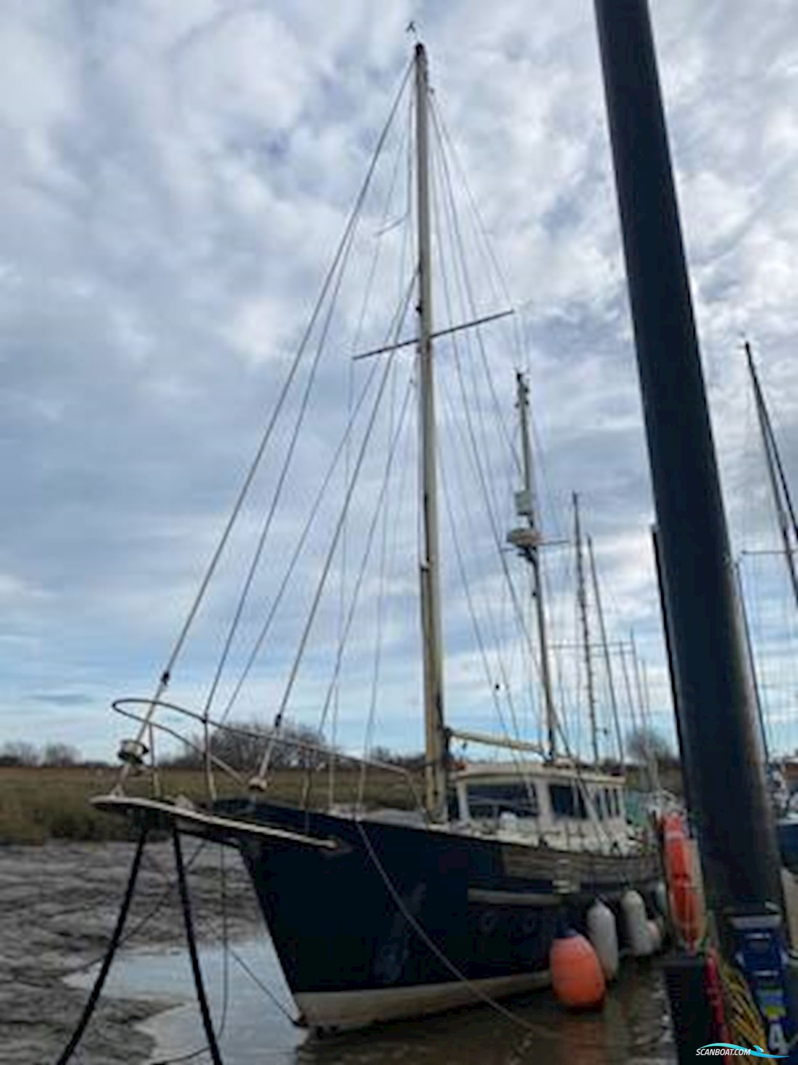 Fisher 37
