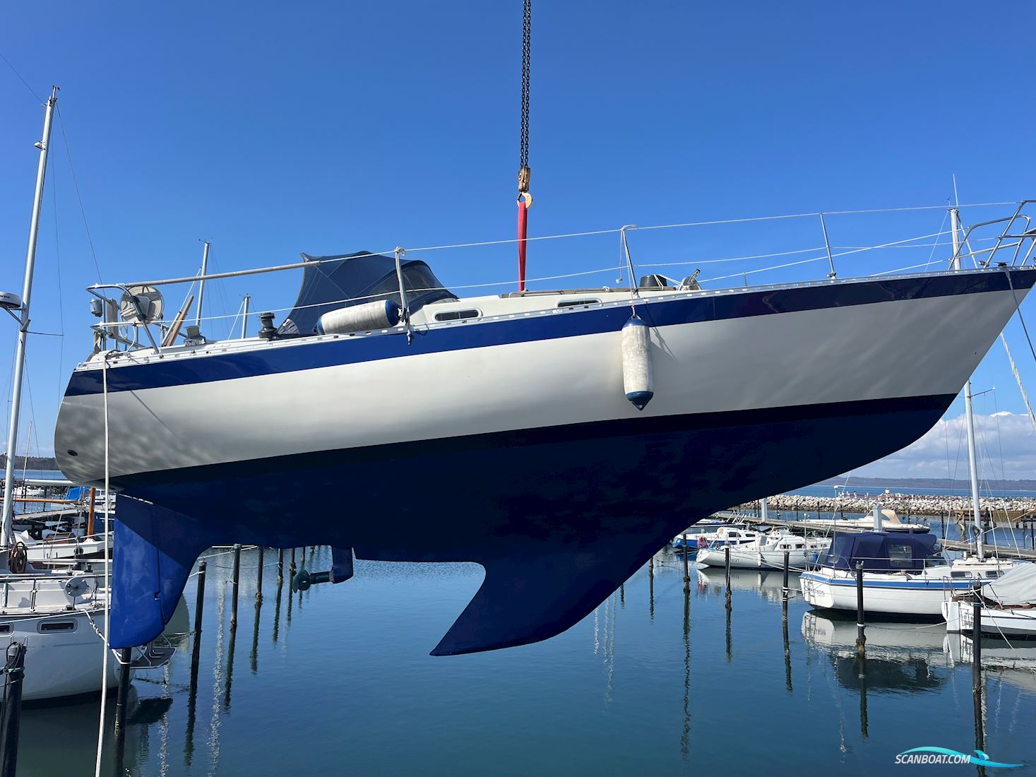 Forgus 31