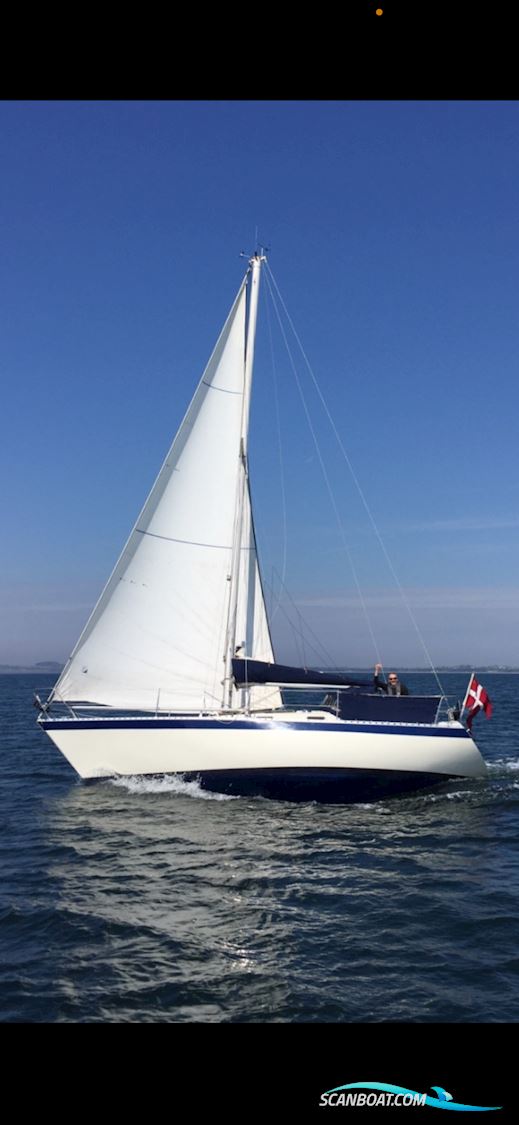 Forgus 31