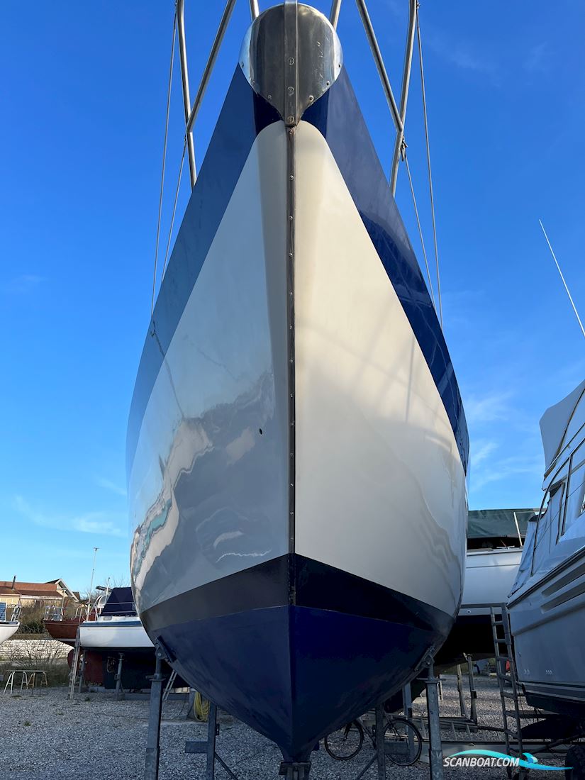 Forgus 31