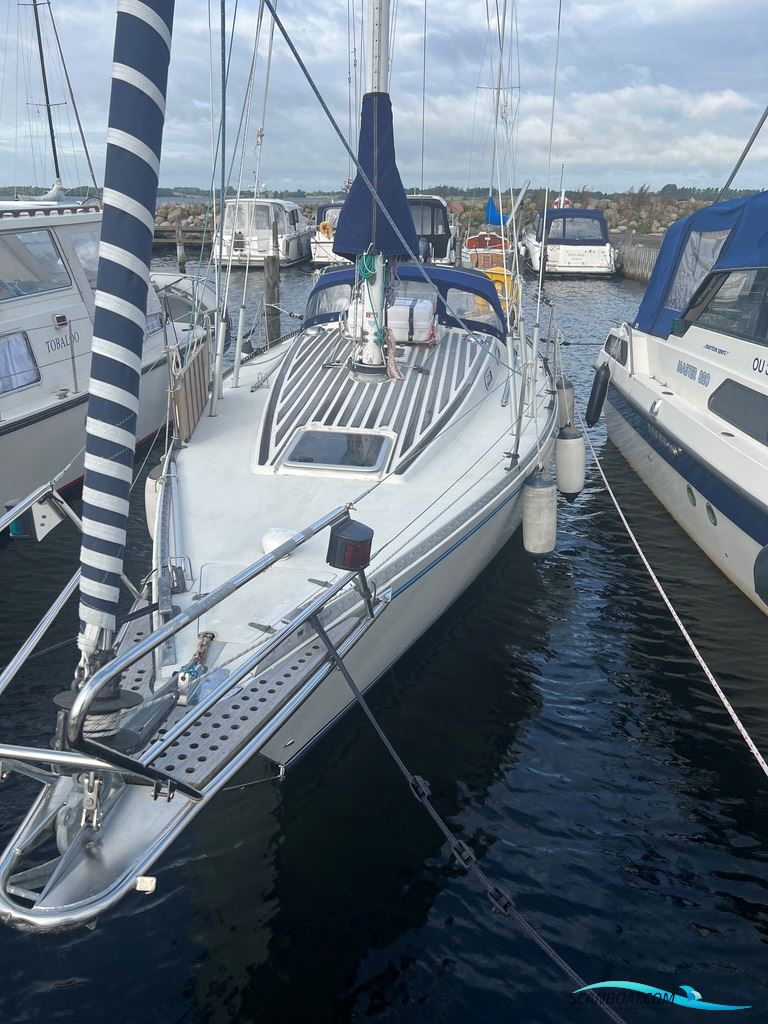 Forgus 31