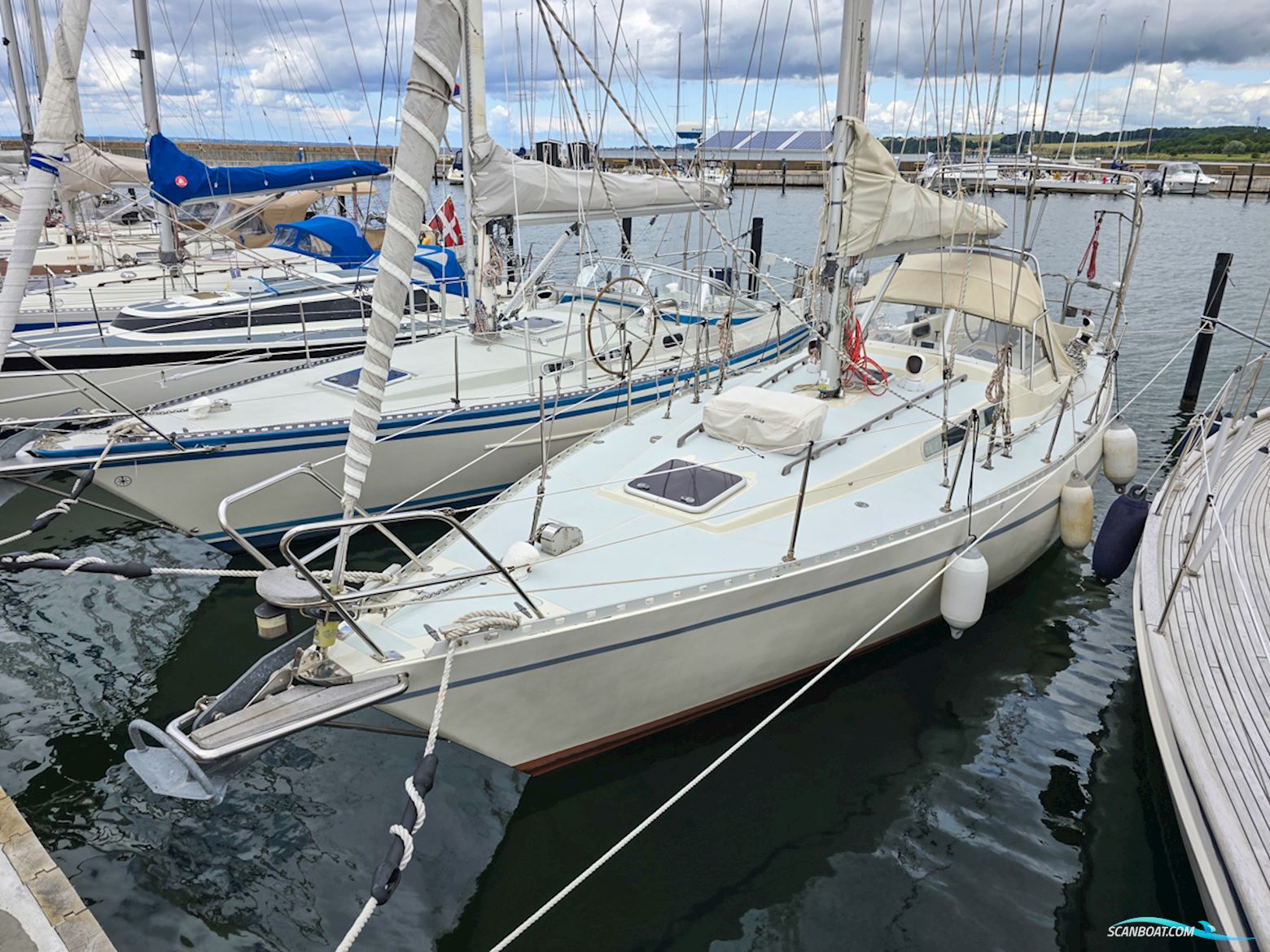 Forgus 35