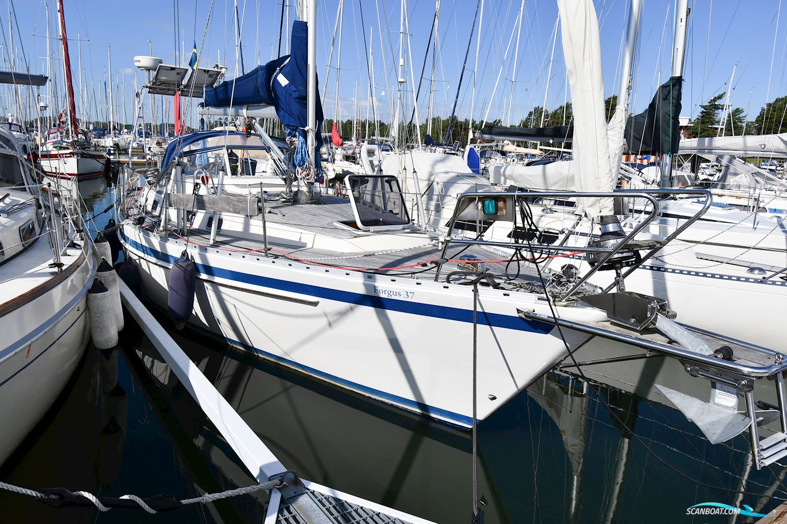 Forgus 37