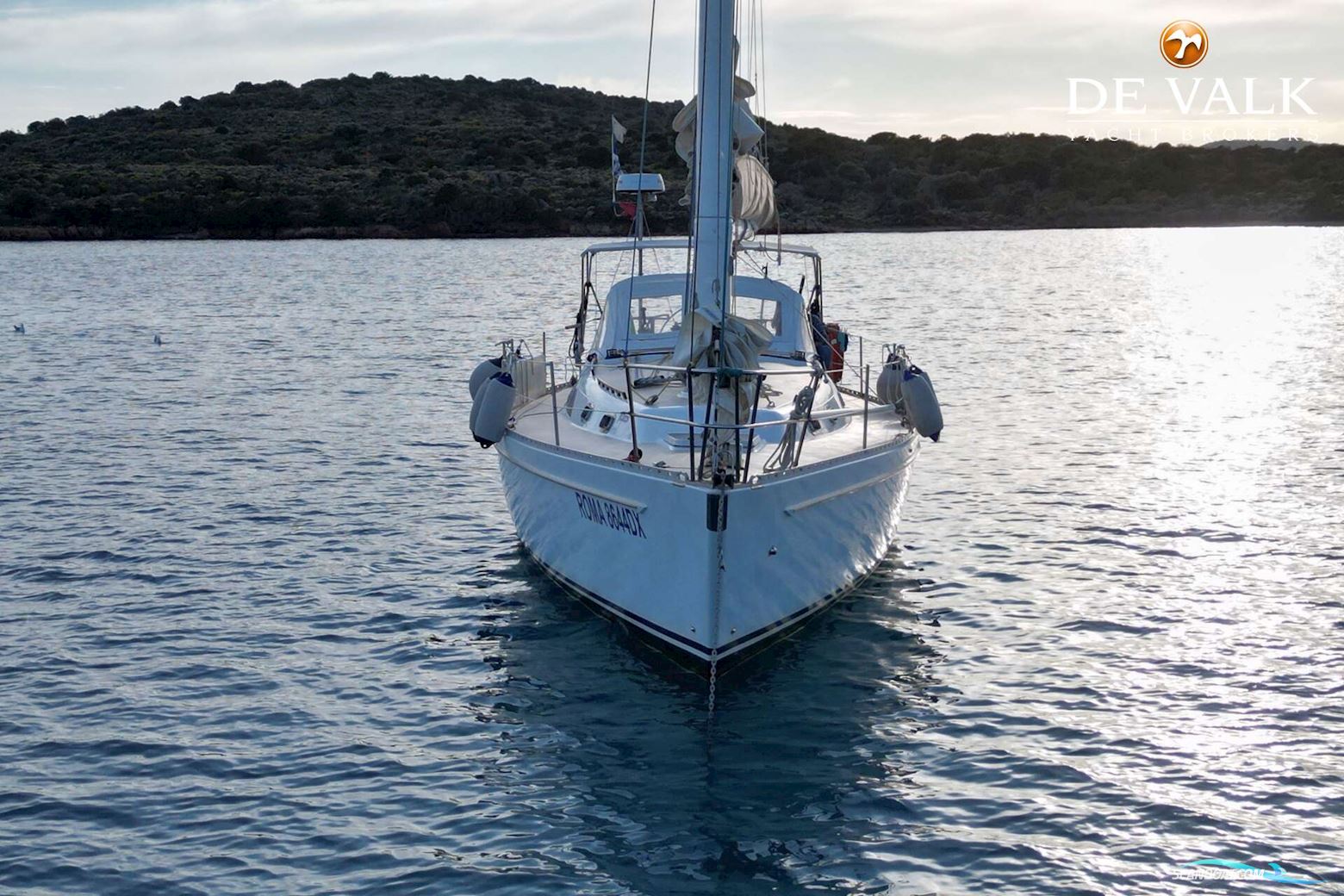 Freedom 38