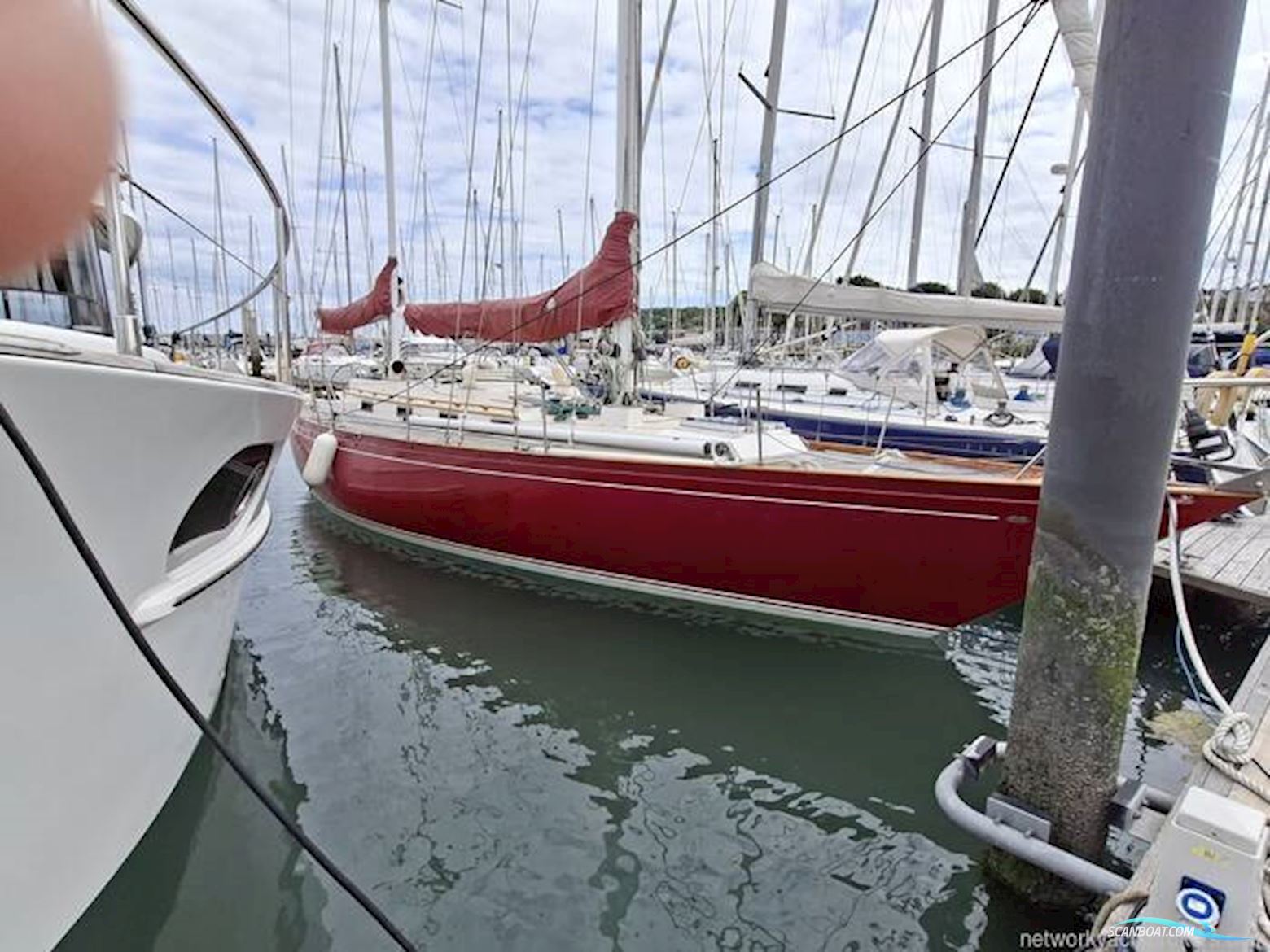 Frers 44