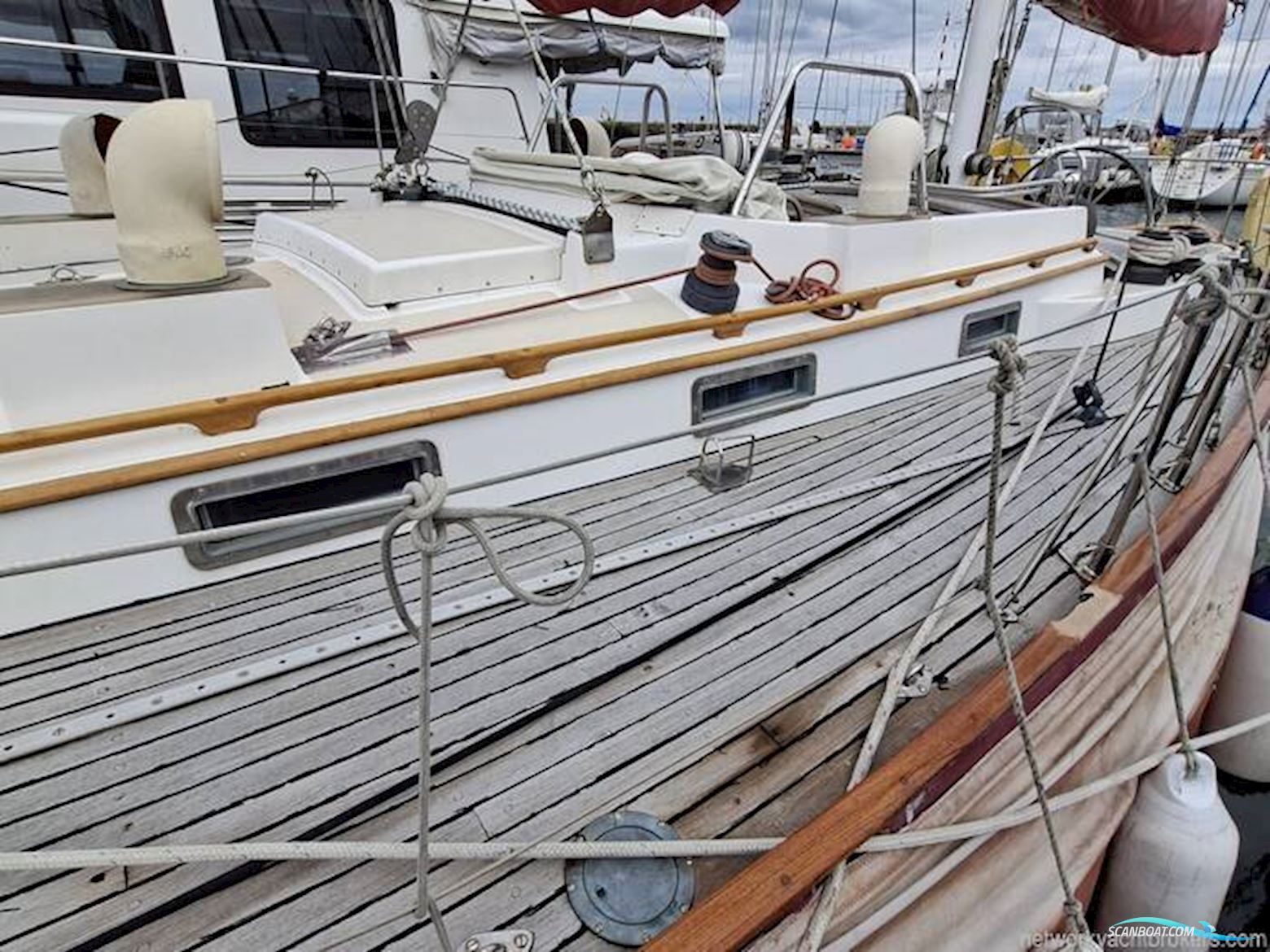 Frers 44