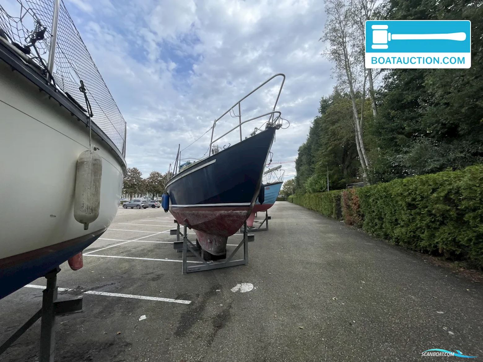 Friesland 860