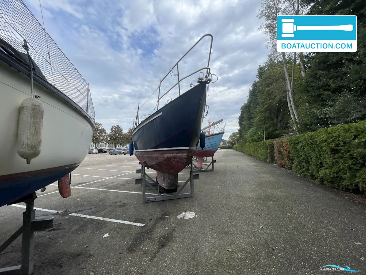 Friesland 860