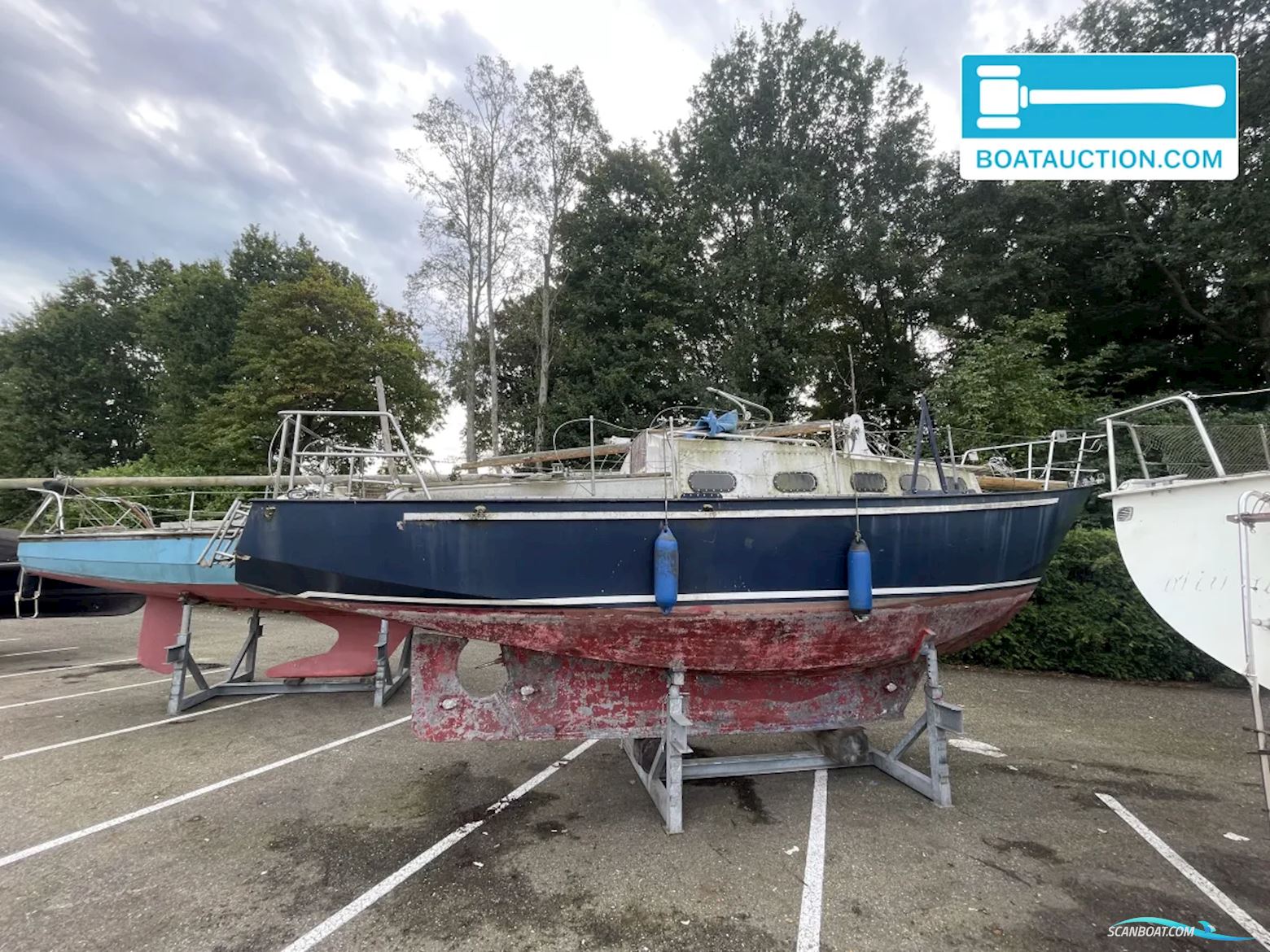 Friesland 860
