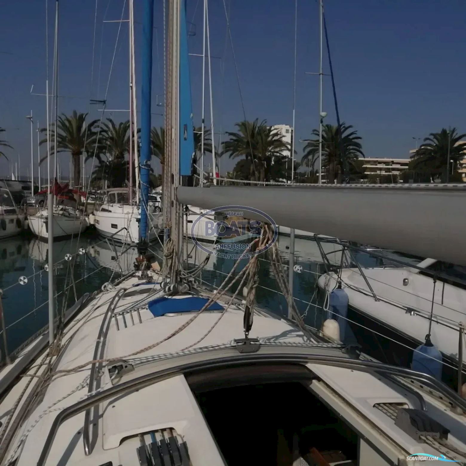 Gibsea 334