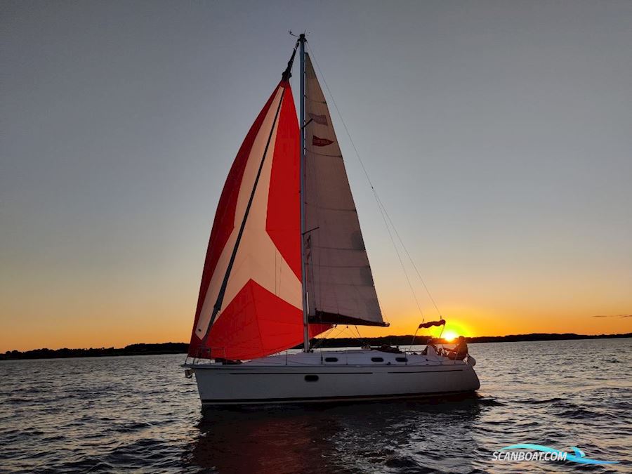 Gibsea 37