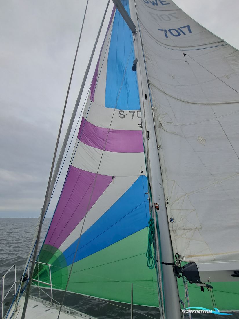 Gibsea 92