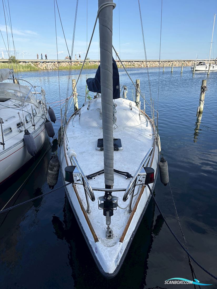 Grace 30