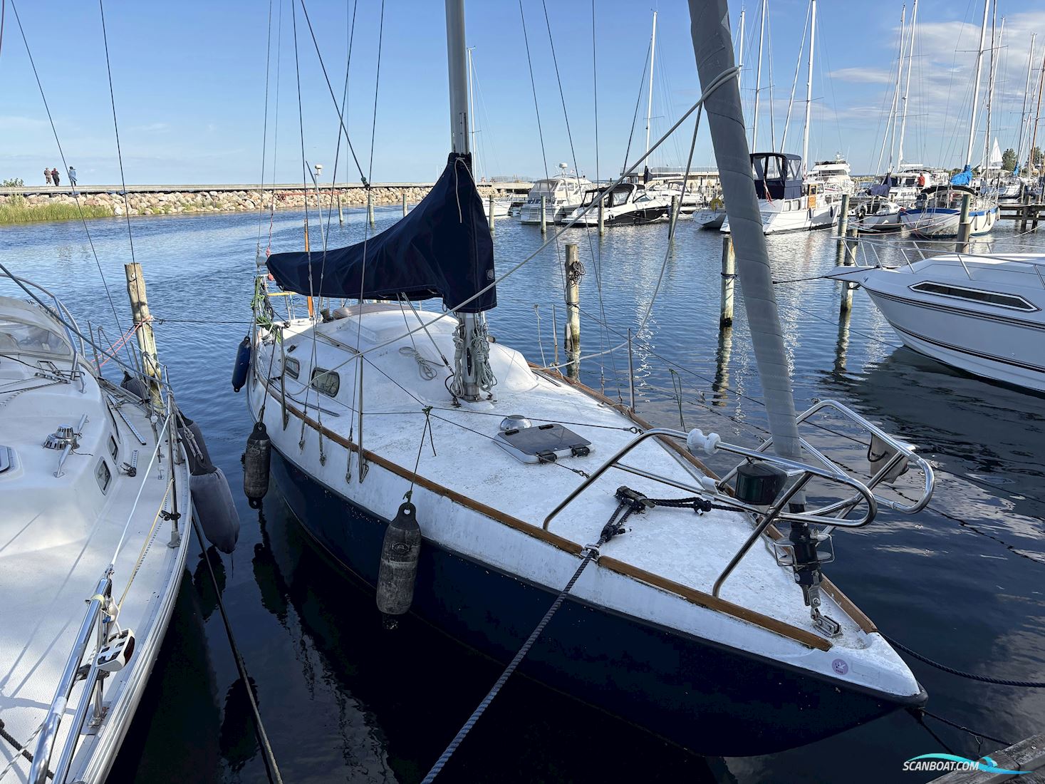 Grace 30