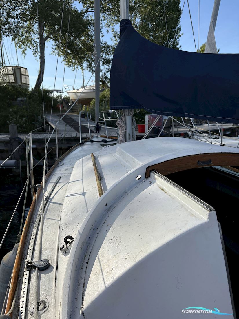 Grace 30