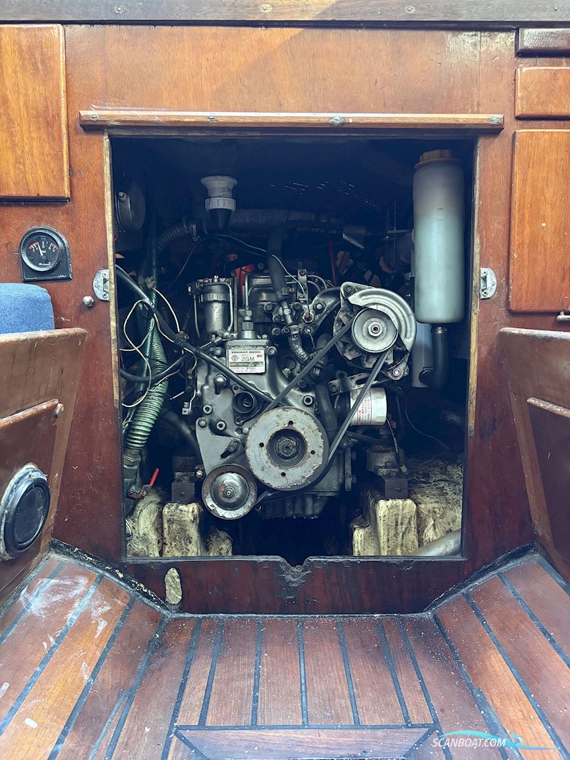 Grace 30