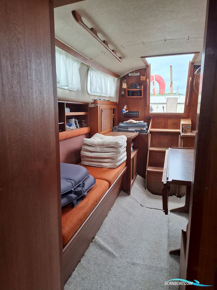 Great Dane 28