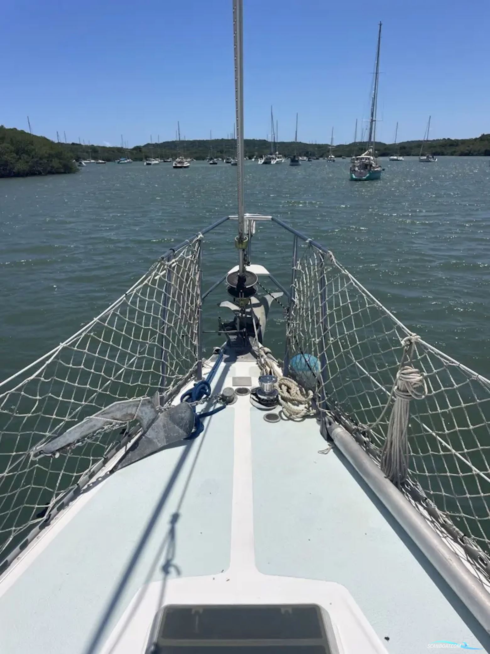 Gulfstar Hirsch 45