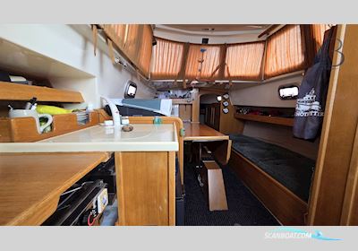Haber Yachts Haber 800 Zeilboten 2009, met Yanmar 2YM15G motor, Duitsland