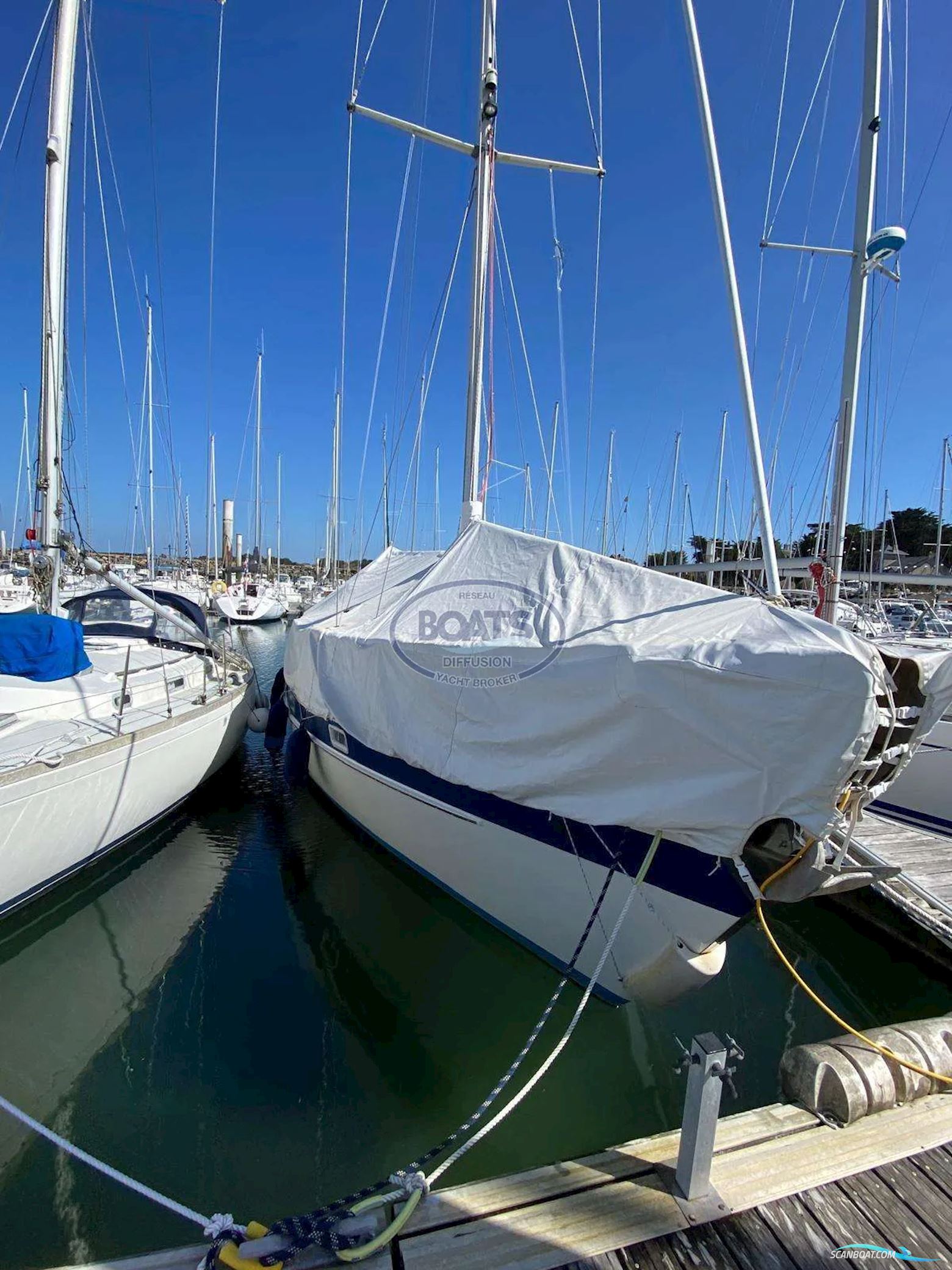 HALLBERG RASSY  352