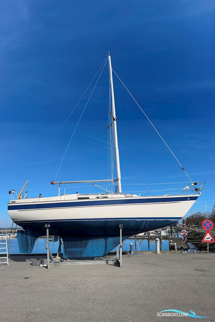 Hallberg-Rassy 29 Scandinavia Zeilboten 1988, met Volvo Penta motor, Denemarken